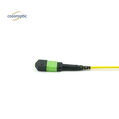 1m Multi fibre pousse sur le câble de patch MPO avec veste en PVC couleur Aqua