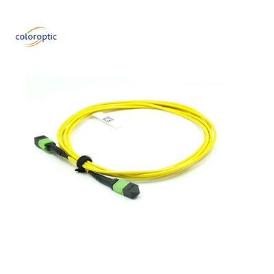 OM3 MPO patch cord 12 connecteur à fibre optique aquatique pour une mise en réseau efficace