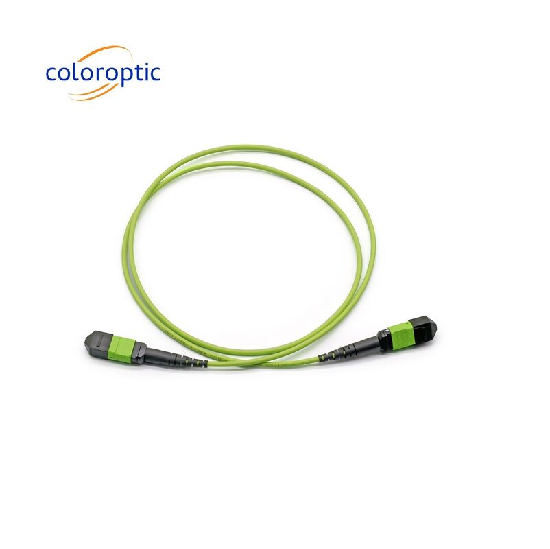 Connecteur MTP à câble de patch en mode unique G652D / G657A1 / G657A2 Fibre